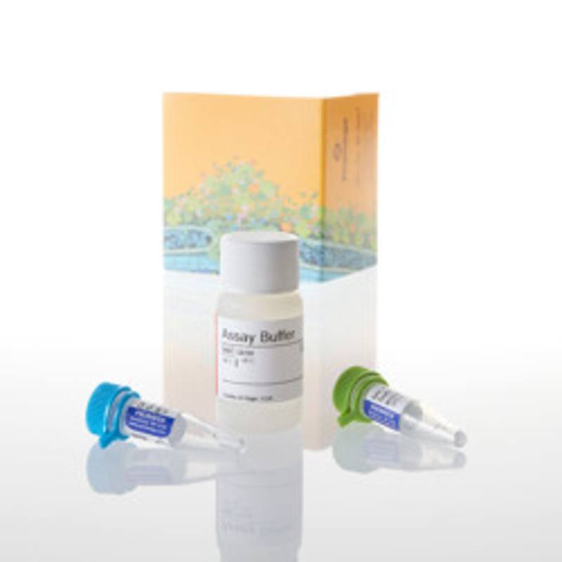 MultiTox-Fluor Multiplex Cytotoxicity Assay, 10ml