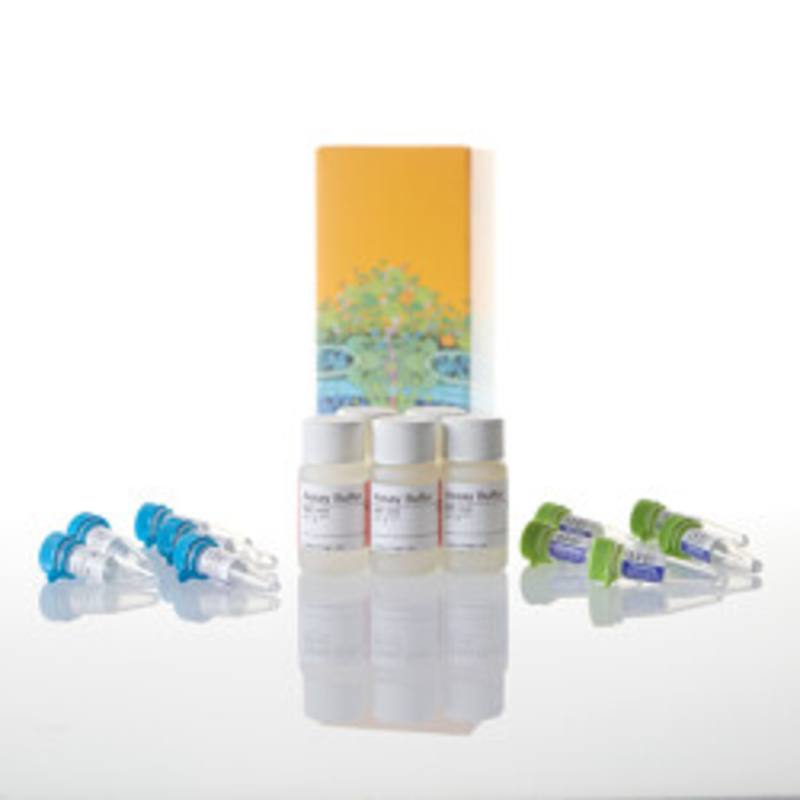 MultiTox-Fluor Multiplex Cytotoxicity Assay, 5 x 10ml