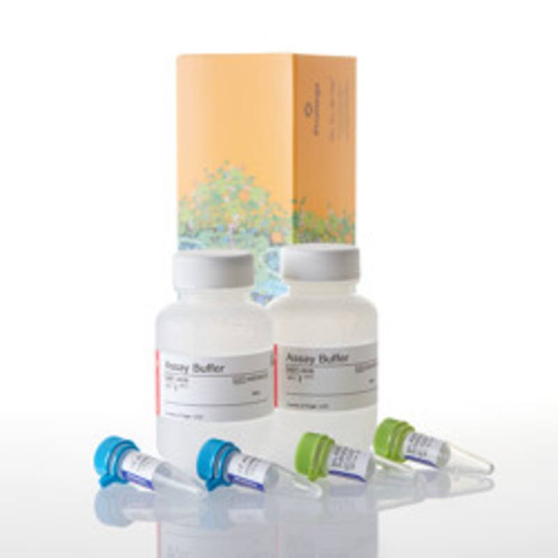 MultiTox-Fluor Multiplex Cytotoxicity Assay, 2 x 50ml