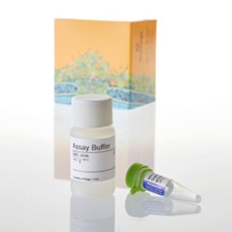 CytoTox-Fluor(TM) Cytotoxicity Assay, 10ml