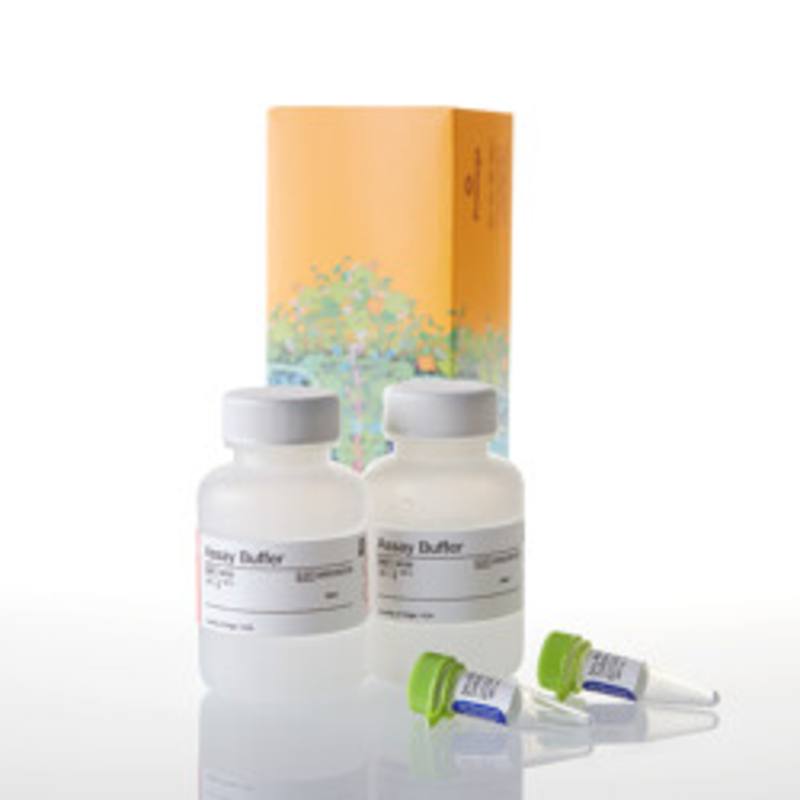 CytoTox-Fluor(TM) Cytotoxicity Assay, 2 x 50ml