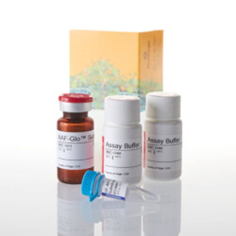MultiTox-Glo Multiplex Cytotoxicity Assay, 10ml
