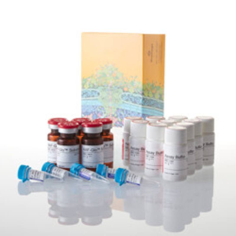 MultiTox-Glo Multiplex Cytotoxicity Assay, 5 x 10ml