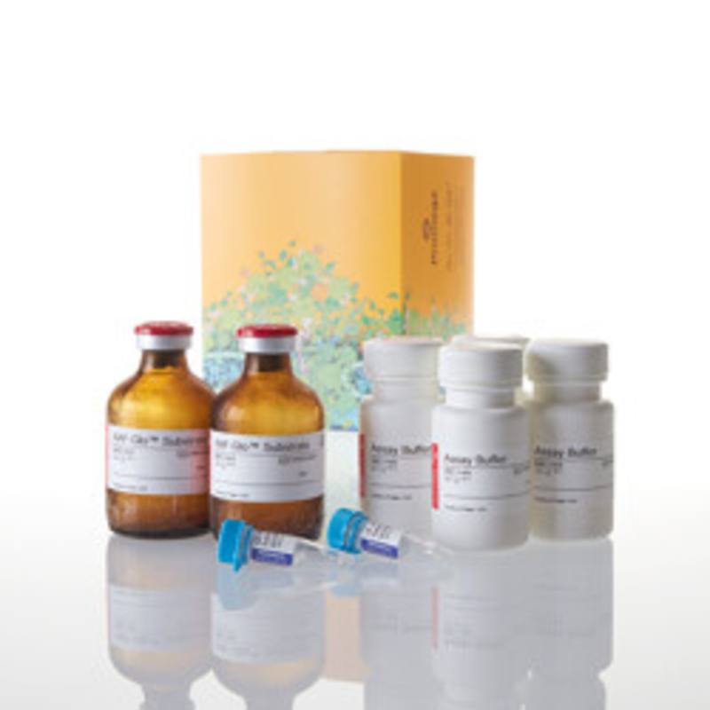 MultiTox-Glo Multiplex Cytotoxicity Assay, 2 x 50ml