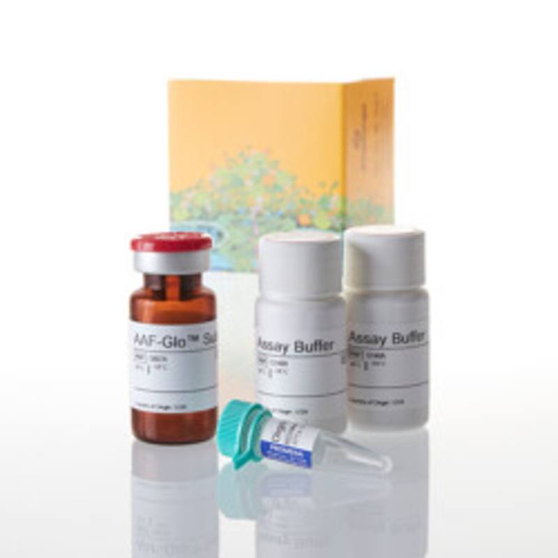 CytoTox-Glo(TM) Cytotoxicity Assay, 10ml