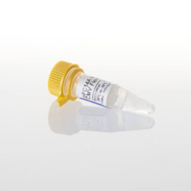 pFC14A HaloTag(R) CMV Flexi(R) Vector, 20ug