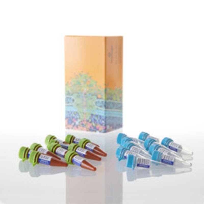 RealTime-Glo(TM) MT Cell Viability Assay, 10X100 RXN