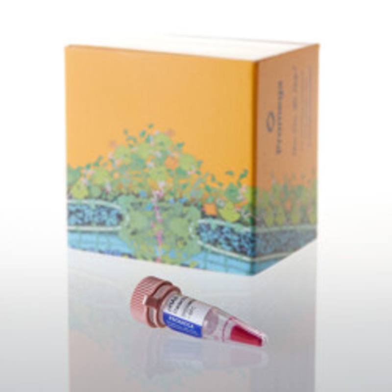pHAb Thiol Reactive Dye, 250ug