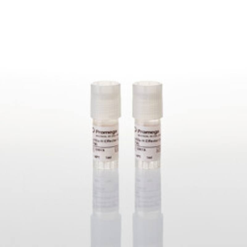 FcgammaRIIa-H ADCP Bioassay Effector Cells, Propagaton Model