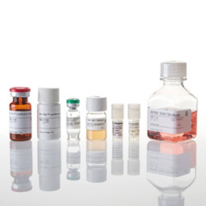 FcgammaRIIa-H ADCP Reporter Bioassay, Complete Kit