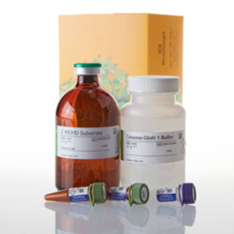 Caspase-Glo(R) 1 Inflammasome Assay, 100ml