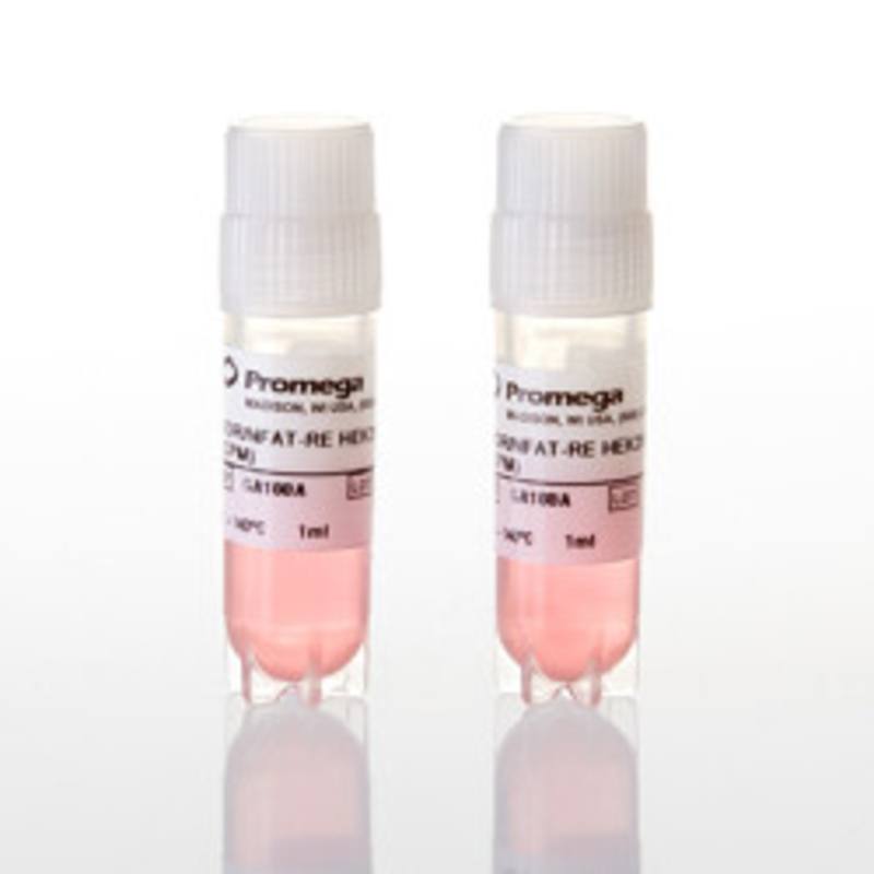 VEGF Bioassay, Propagation Model