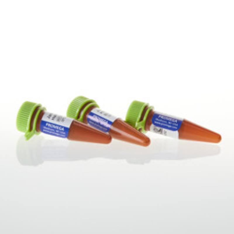 Janelia Fluor(R) 549 HaloTag(R) Ligand