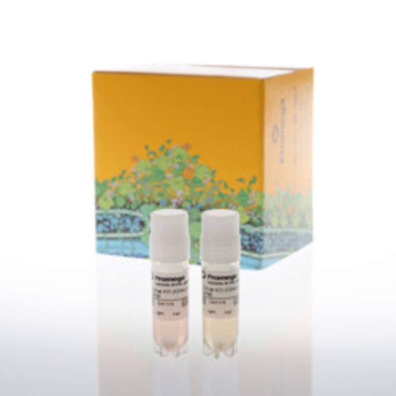 TCA Bioassay TCRalphabeta-KO, CD4+ CPM