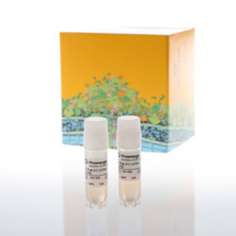 TCA Bioassay TCRalphabeta-KO CD4+/8+ CPM