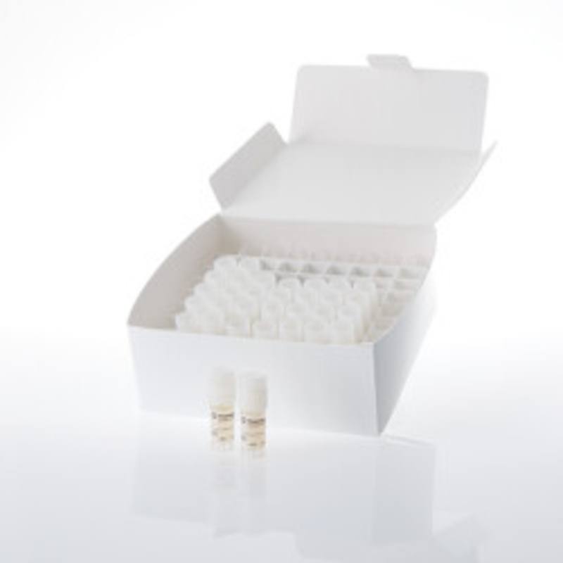 TCA Bioassay (TCRab-KO, CD8+), Cell Bank