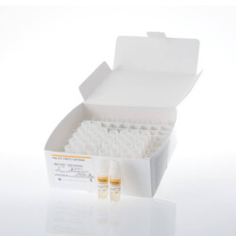 Raji (HT-HiBiT) Cell Bank