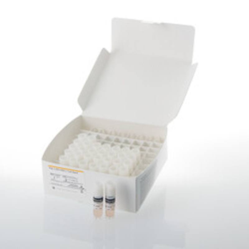 Raji (LDH-HiBiT) Cell Bank
