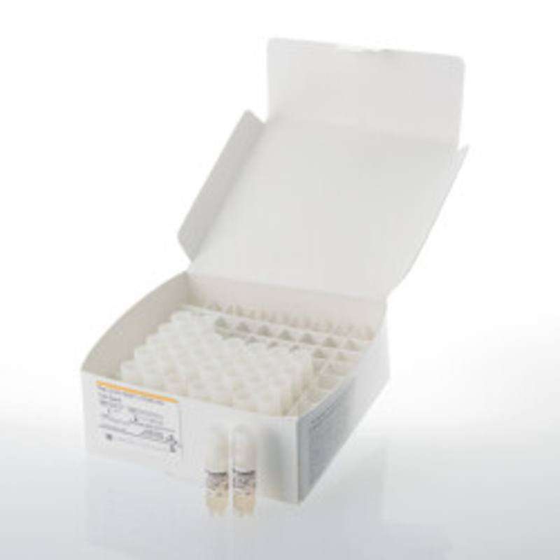 Raji (LDH-HiBiT) CD20-KO Cell Bank
