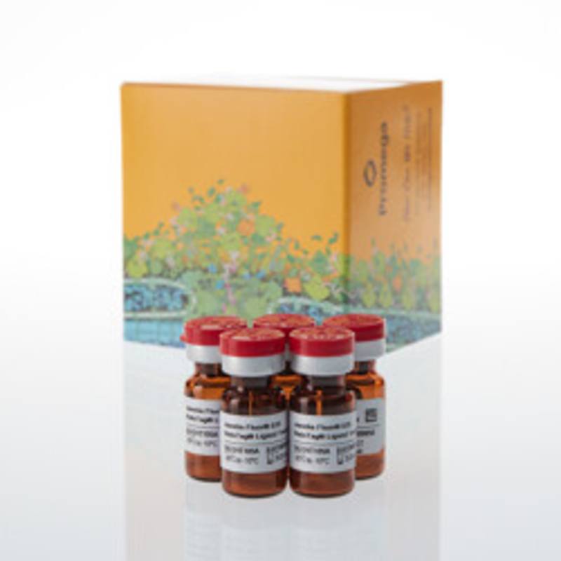 Janelia Fluor(R) 635 HaloTag(R) Ligand