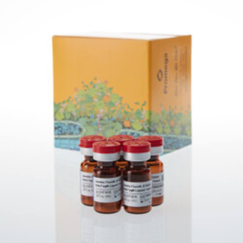 Janelia Fluor(R) JFX650 HaloTag(R) Ligand
