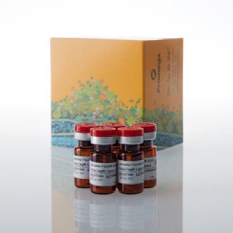 Janelia Fluor(R) 635i HaloTag(R) Ligand, 5 pack