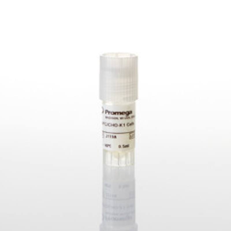 PD-L1 Negative Cells