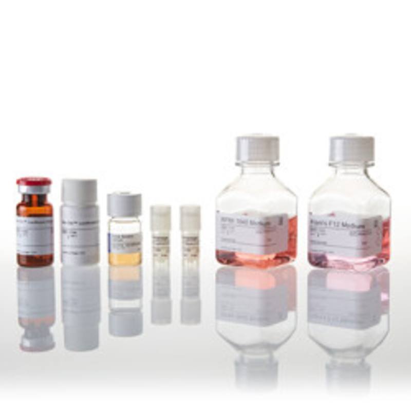 PD-1/PD-L1 Blockade Bioassay 5X