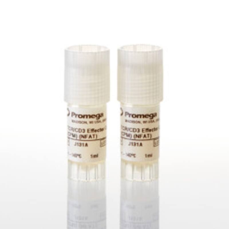 T Cell Activation Bioassay (NFAT), Propagation Model