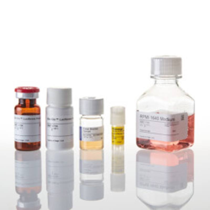 T Cell Activation Bioassay (NFAT)