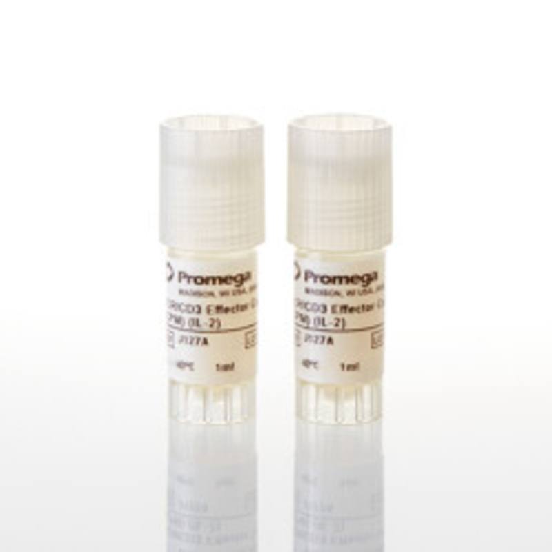 T Cell Activation Bioassay (IL-2), Propagation Model