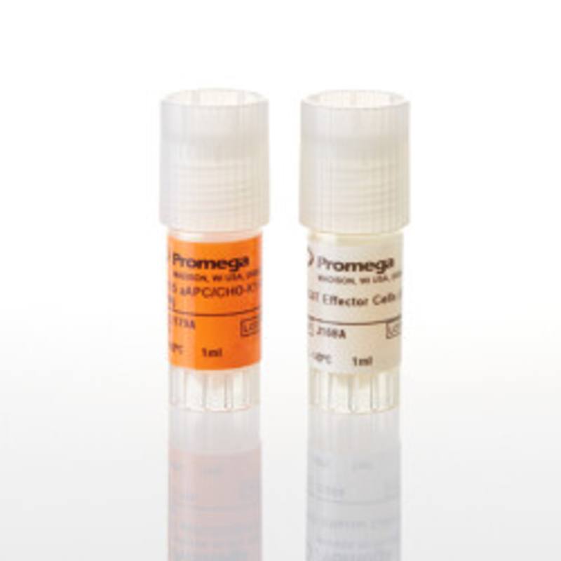 TIGIT/CD155 Blockade Bioassay, Propagation Model