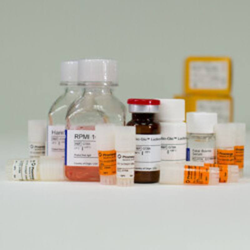 PD-1 + TIGIT Combination Bioassay 5X