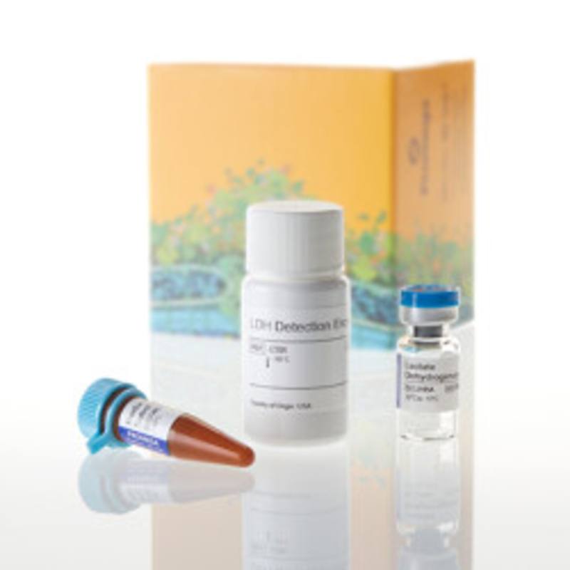 LDH-Glo(TM) Cytotoxicity Assay, 50ml