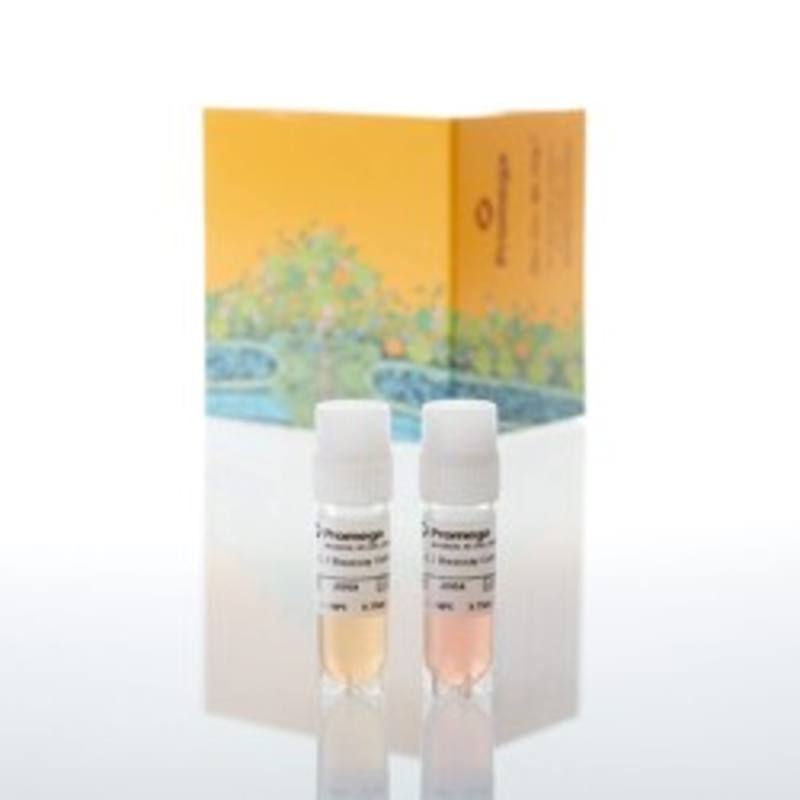 IL-2 Bioassay, Propagation Model