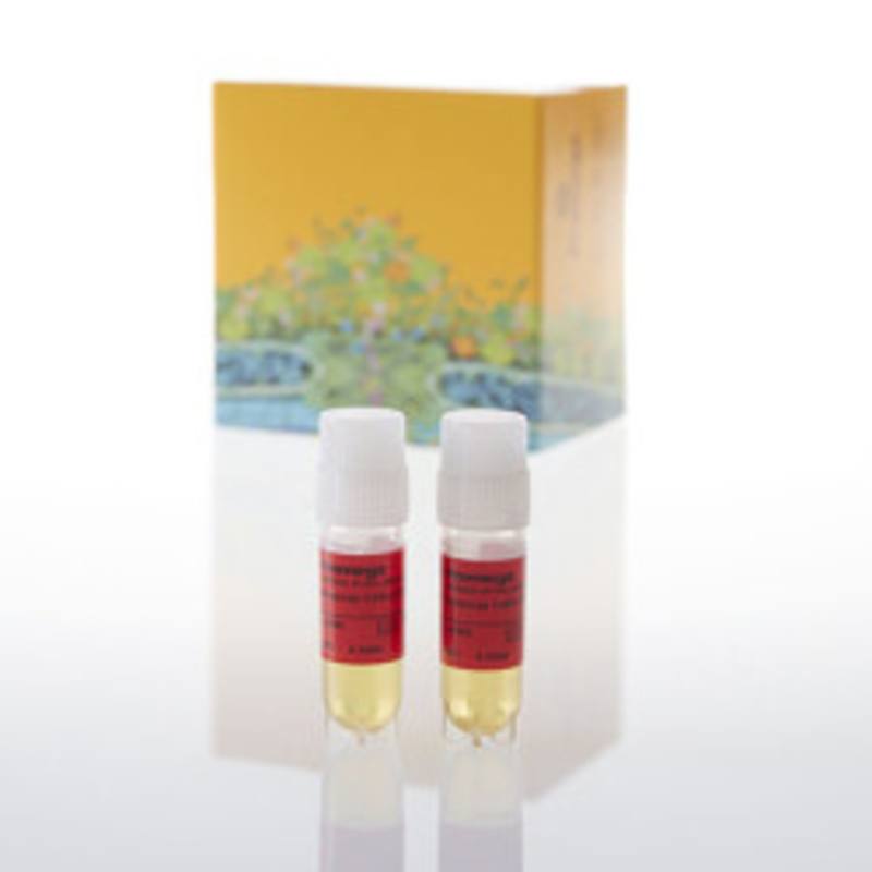 IL-6 Bioassay, Propagation Model
