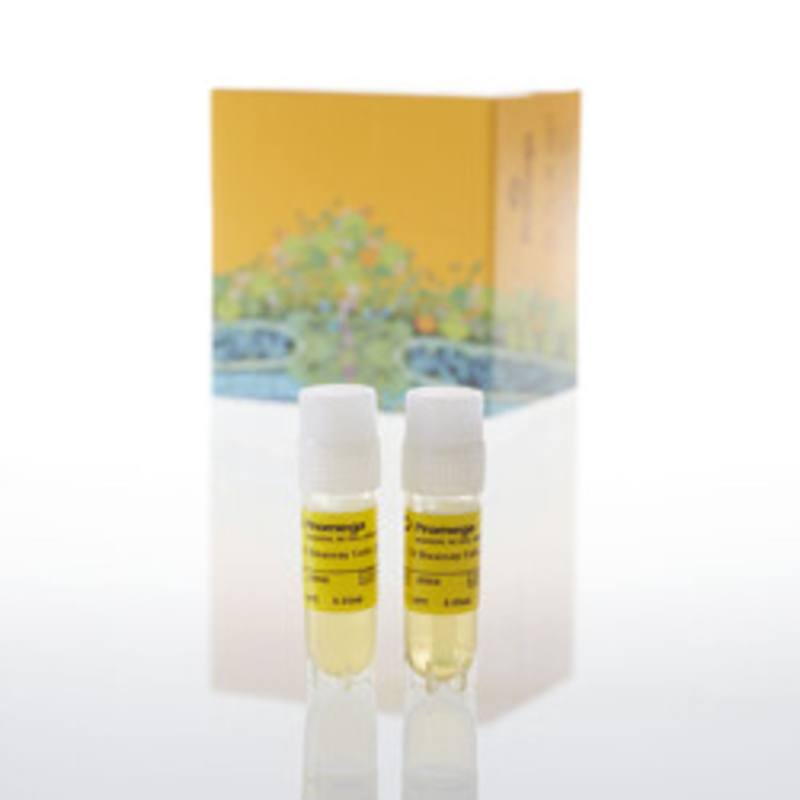 IL-23 Bioassay, Propagation Model