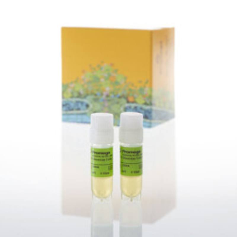 IL-12 Bioassay, Propagation Model