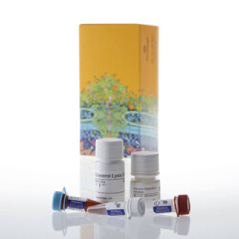 Glycerol-Glo (TM) Assay, 5ml
