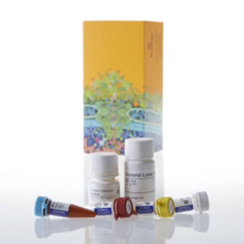 Triglyceride-Glo(TM) Assay, 5ml