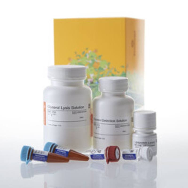 Triglyceride-Glo(TM) Assay, 50ml