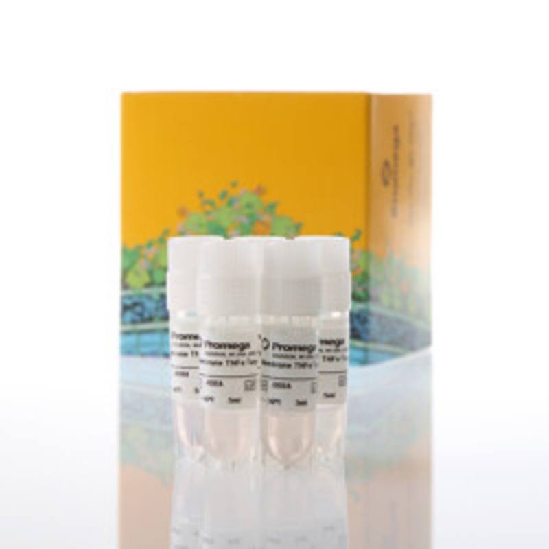 Membrane TNFalpha Target Cells 5X