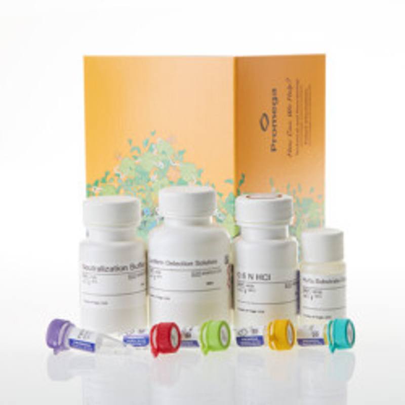 Pyruvate-Glo(TM) Assay, 50ml