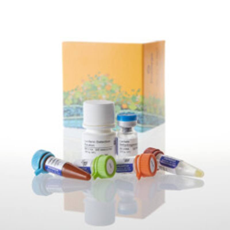 Lactate-Glo(TM) Assay, 5ml