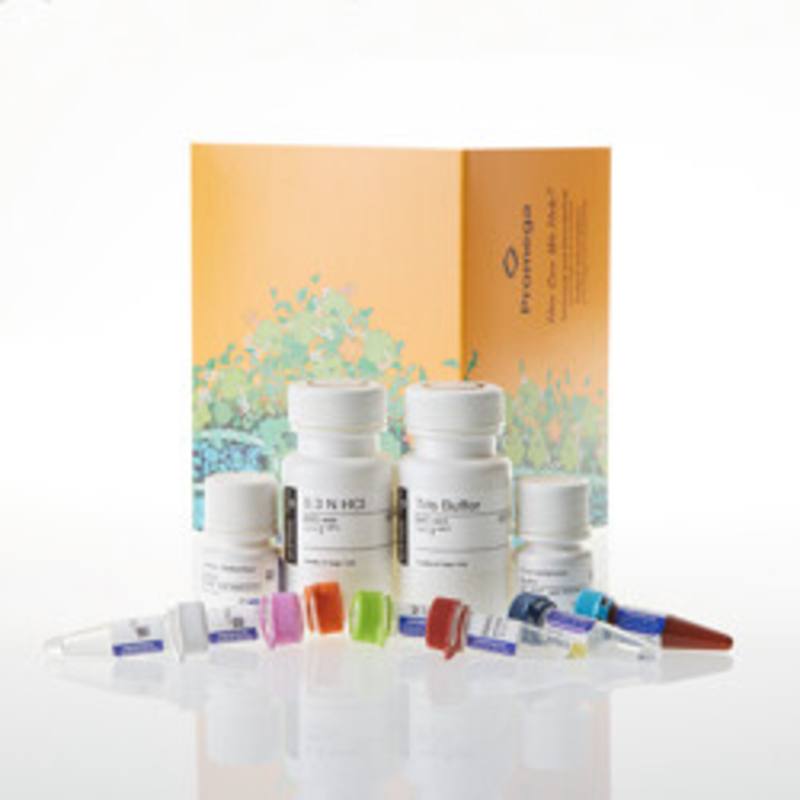 Glycogen-Glo(TM) Assay, 5ml