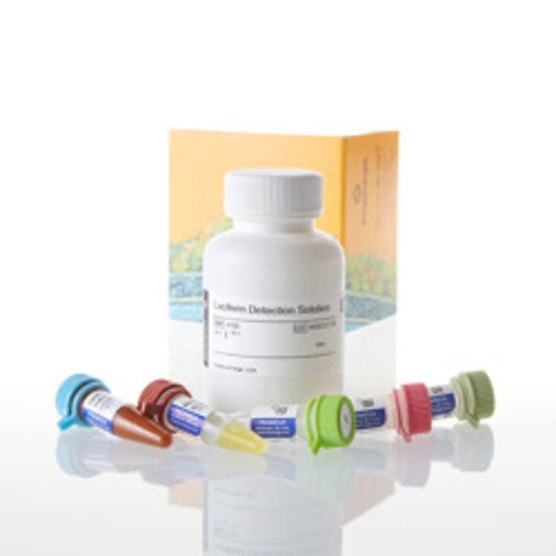 Glutamate-Glo(TM) Assay, 50ml