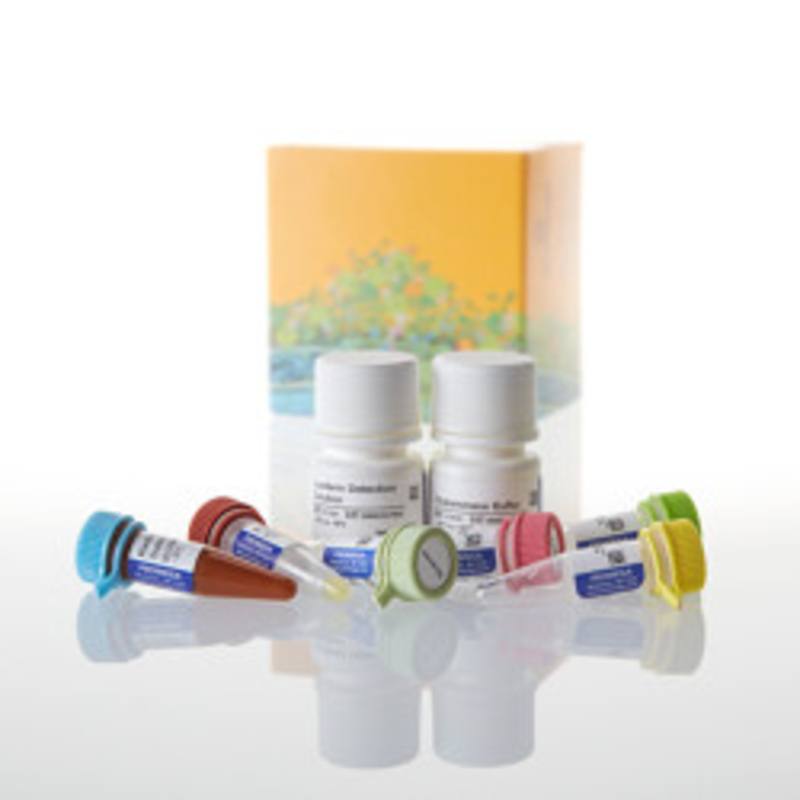 Glutamine/Glutamate-Glo(TM) Assay, 5ml