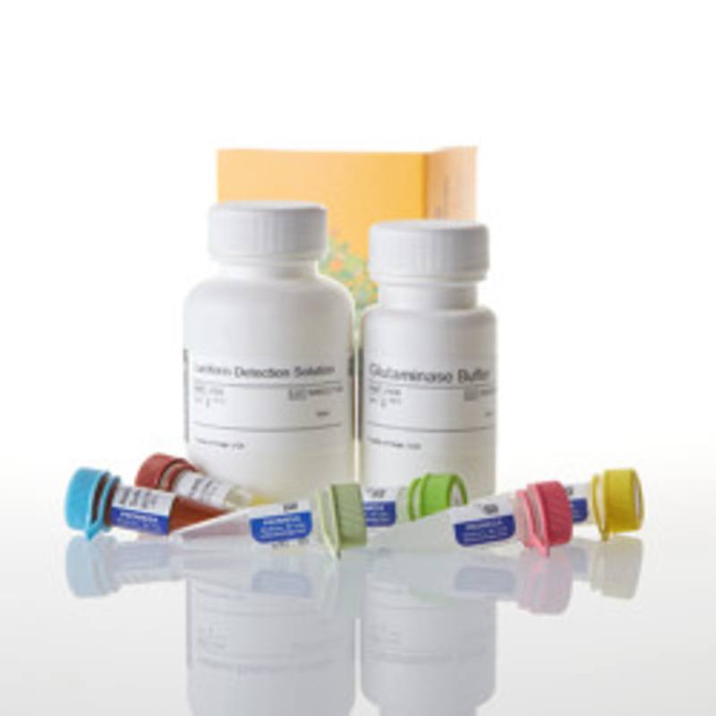 Glutamine/Glutamate-Glo(TM) Assay, 50ml