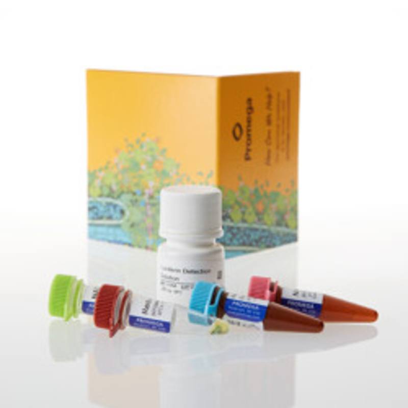 Dehydrogenase-Glo(TM) Detection System, 5ml