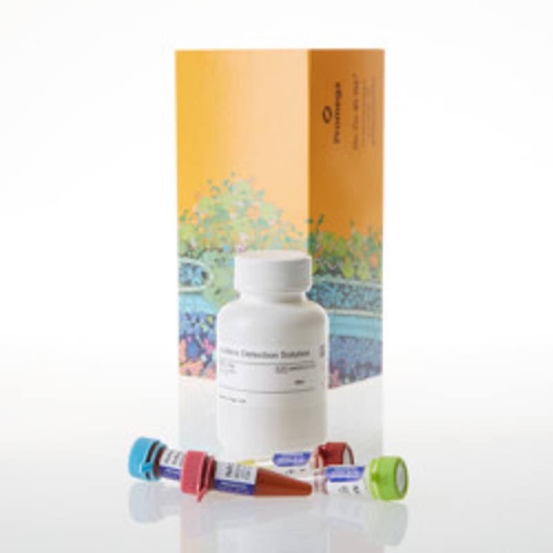Dehydrogenase-Glo(TM) Detection System, 50ml